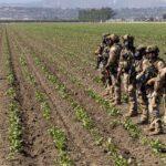 Agricultural workers immigration