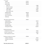 Do undocumented workers pay social security taxes