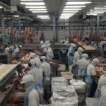 Exploitation of undocumented workers