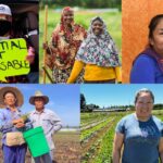 Florida undocumented workers agriculture