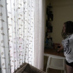 How many undocumented workers in florida