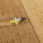 How much do undocumented workers add to the economy