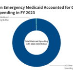 How much do undocumented workers contribute to social security