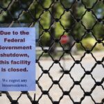 How much do undocumented workers pay into social security