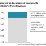 How much taxes do undocumented workers pay