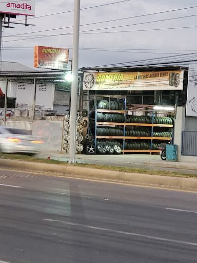 Gomería Jacobson (Gomero)