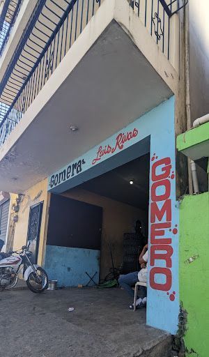 Las mejores Gomera cerca de mi en Jarabacoa