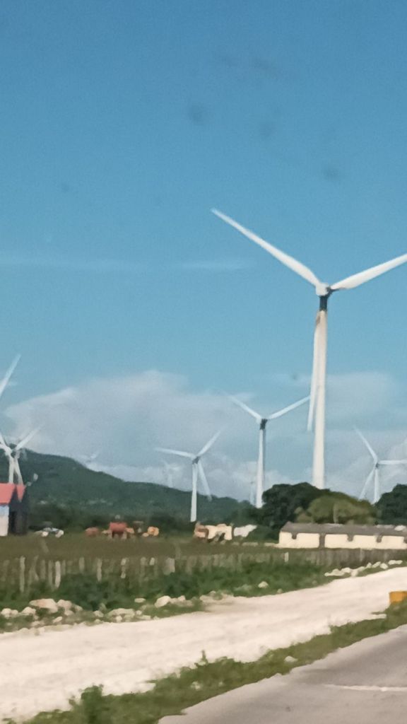 Pedernales